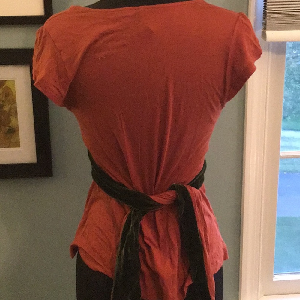 Anthropologie Orange Shirt w Green Velvet Detail - Picture 3 of 4